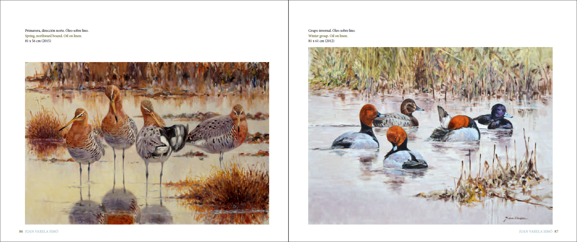 Sample page of La forma del viento / Shaped by the wind La forma del viento / Shaped by the wind sample page